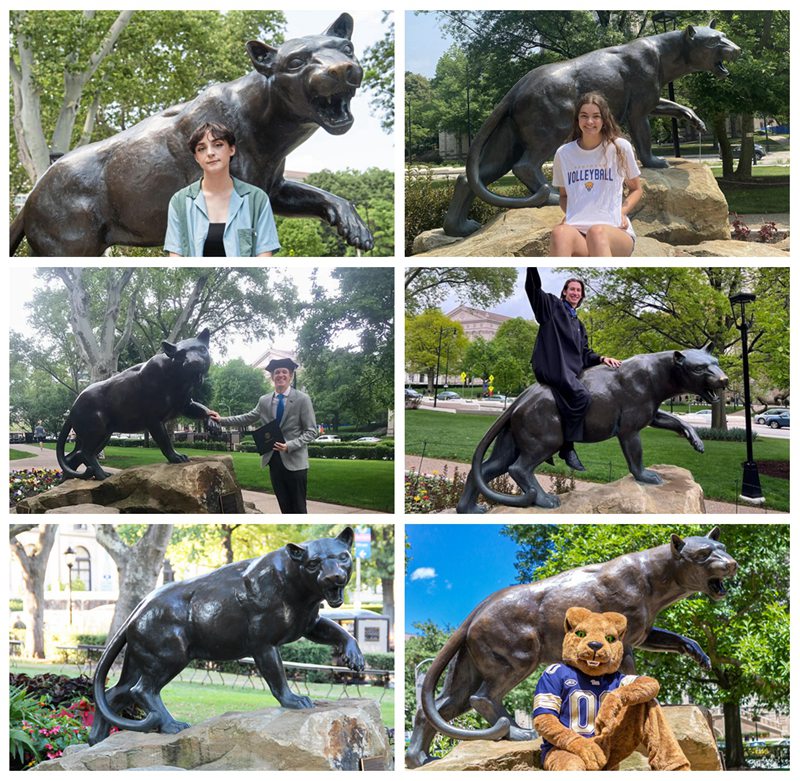 bronze pitt panthers statue