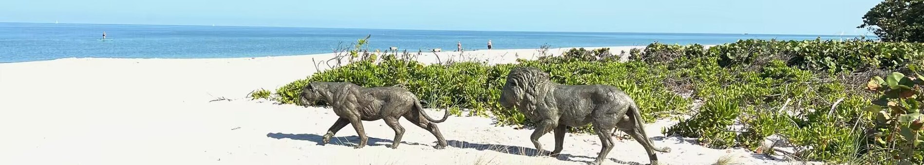 bronze wildlife lion statues