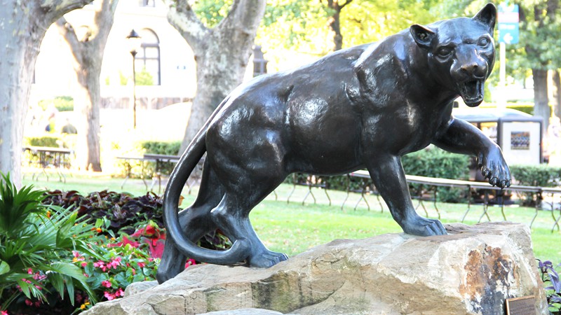 large Bronze Wildlife Pitt Panther