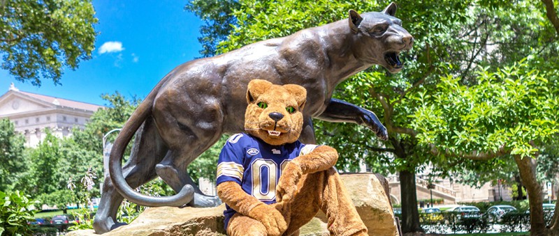 outdoor Bronze Wildlife Pitt Panther