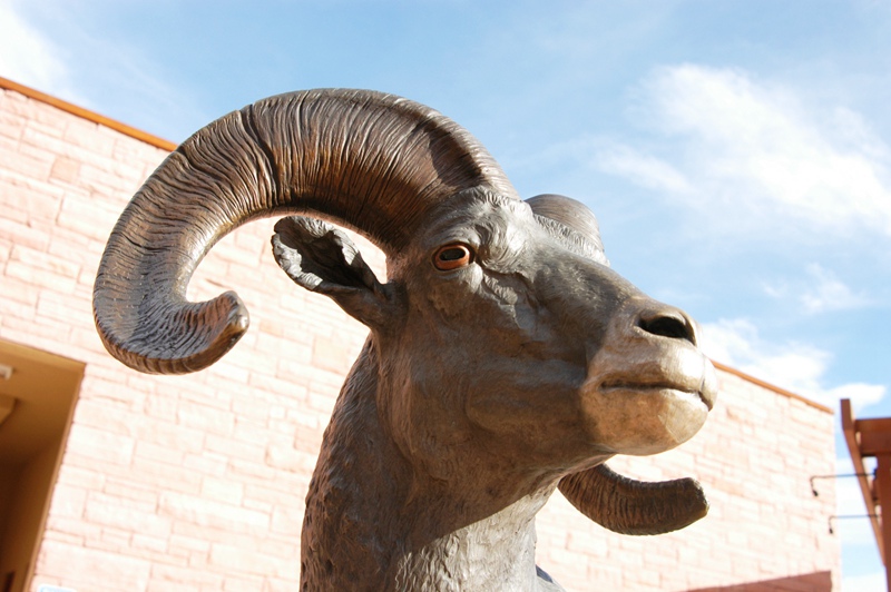 Bighorn Sheep Sculptures