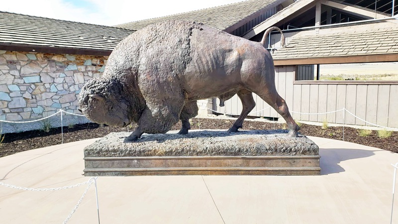 Bison Sculptures
