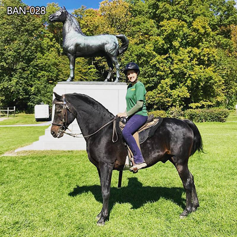 Famous Farm Bronze Standing Morgan Horse Statue Replica