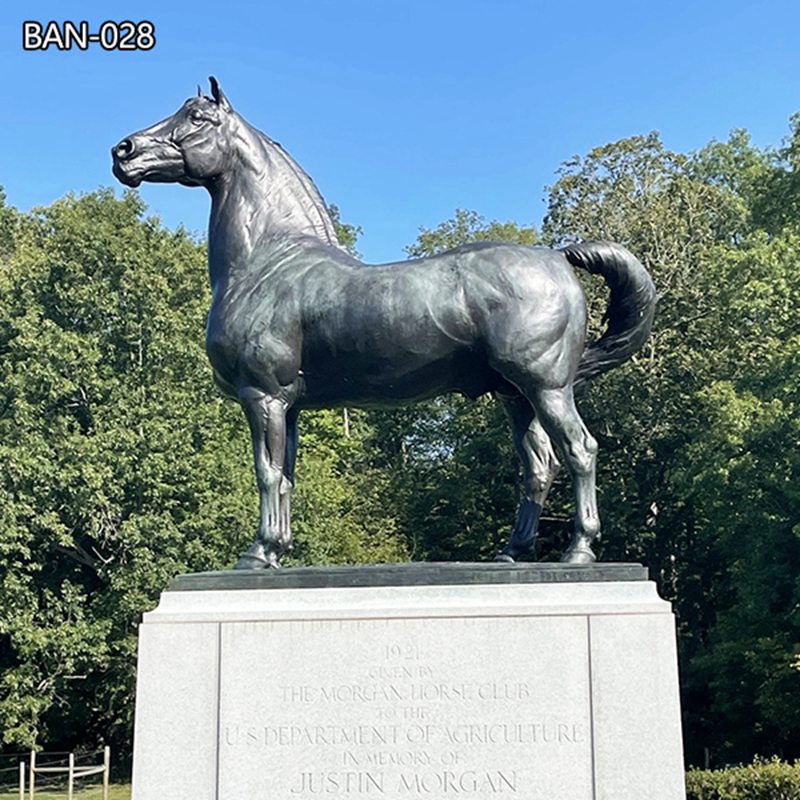Standing Morgan Horse Statue Replica BAN-028