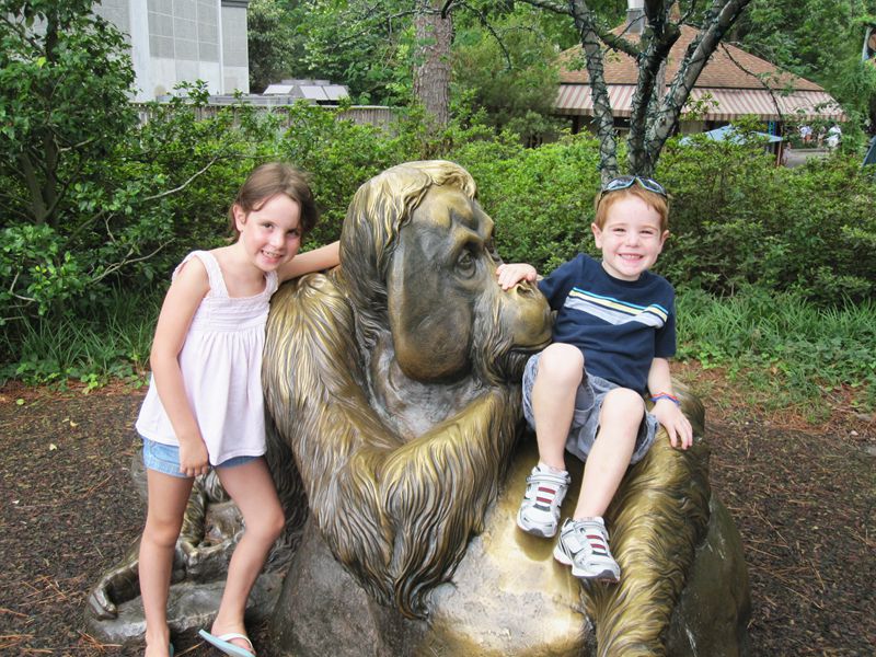 Gorilla