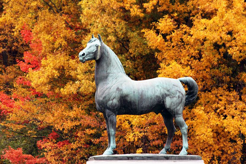 Morgan horse statue