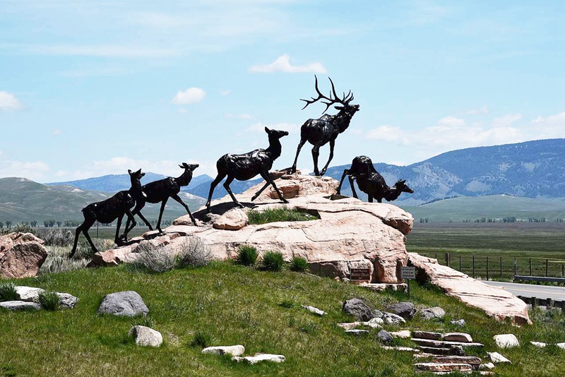 Yellowstone National Park Elk Sculptures