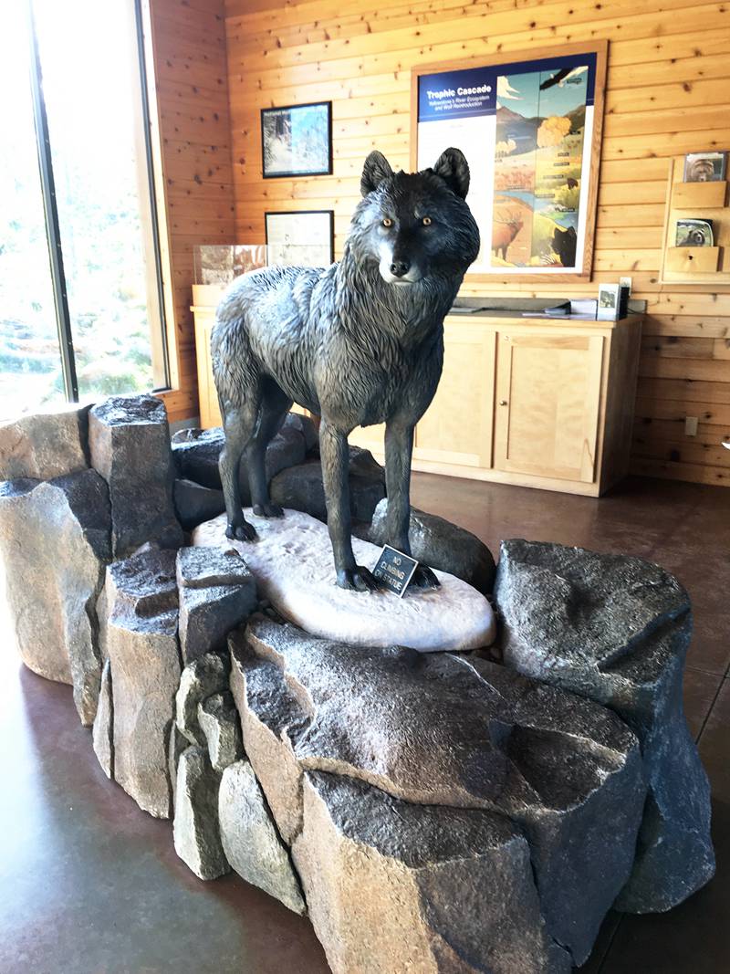 Yellowstone National Park Gray Wolf Sculptures