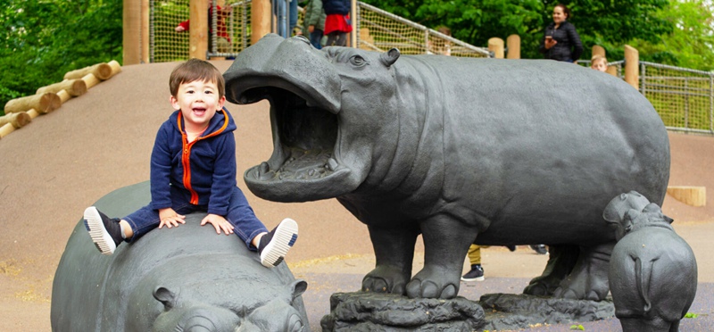 bronze hippo Sculptures