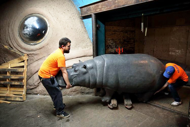 hippo Sculptures