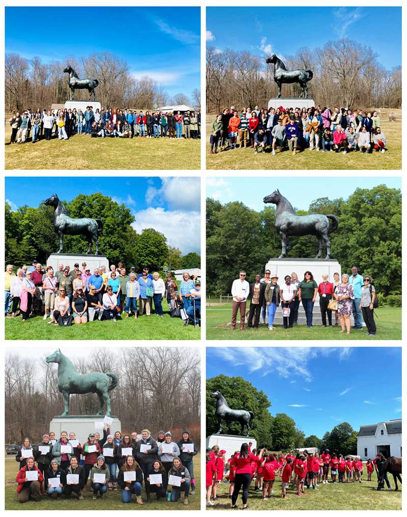 horse statue