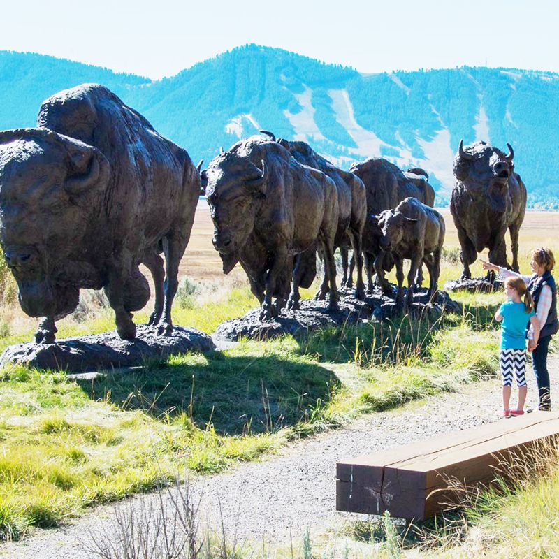 Top 12 Bronze Wildlife Sculptures in America’s Most Famous Park