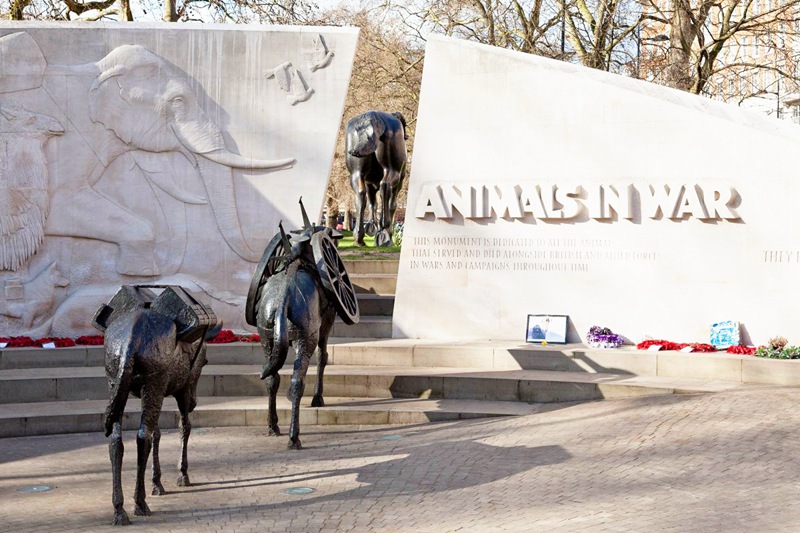lifesize Animals War Memorial