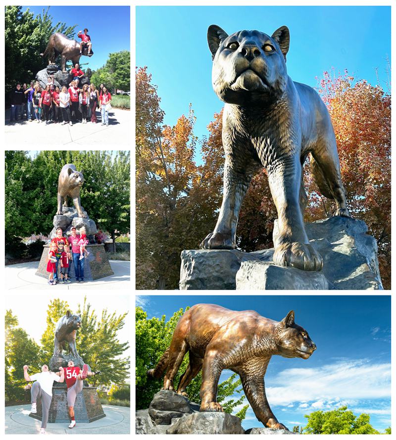 Bronze Cougar school Statue