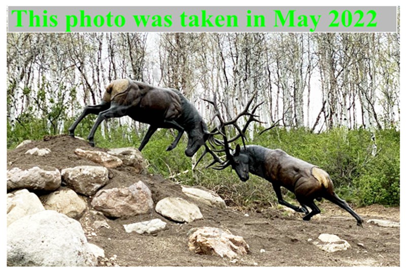 Bronze elk statue feedback photo