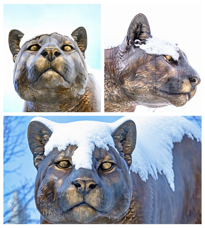 Cougar Statue University decoration