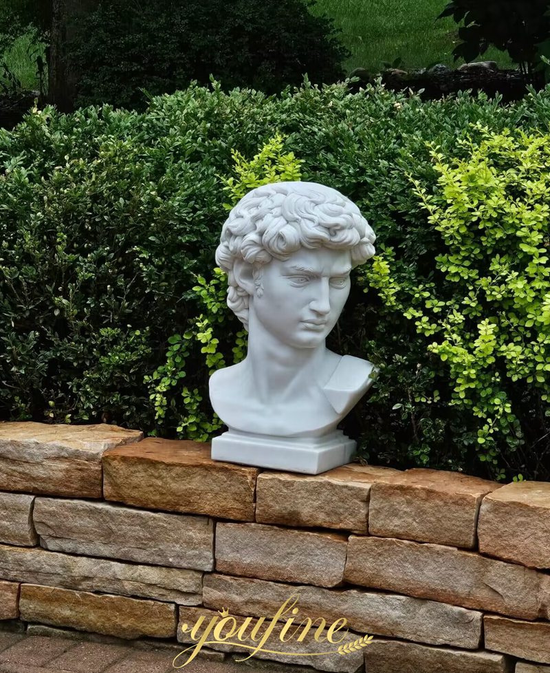 David Bust Statue feedback