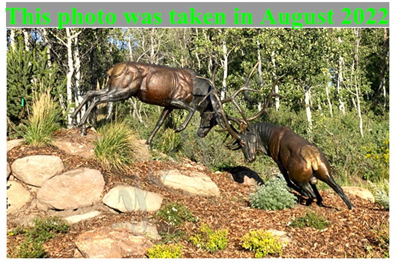 feedback photo Bronze elk statue