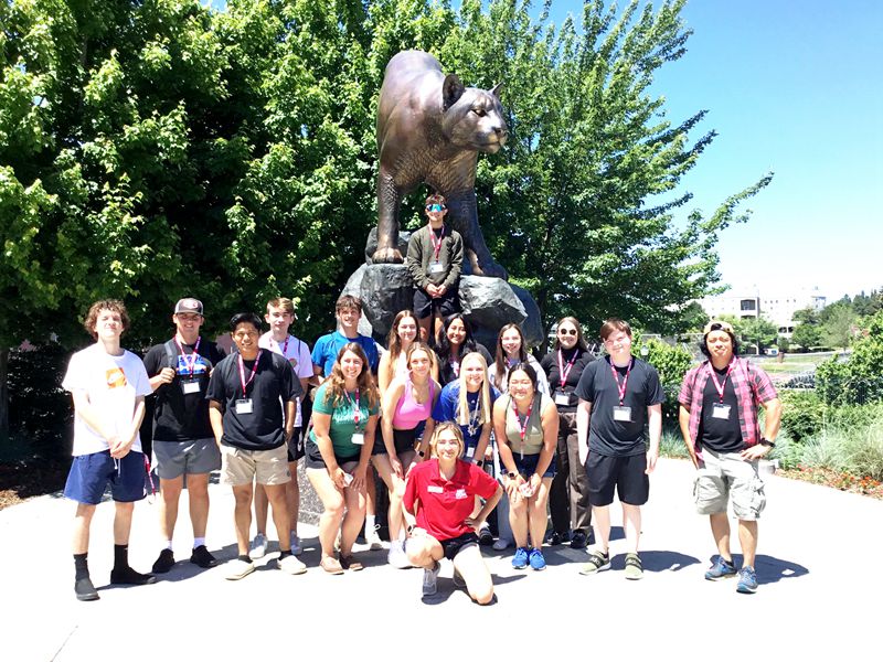 life size cougar statue