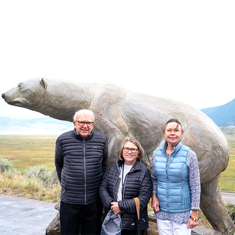 Garden bronze polar bear