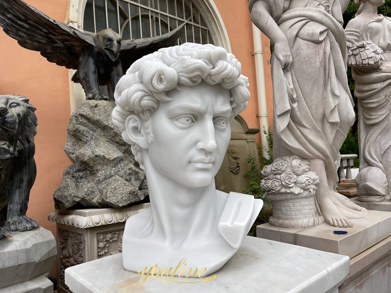 Marble Bust of David Statue for Sale 2