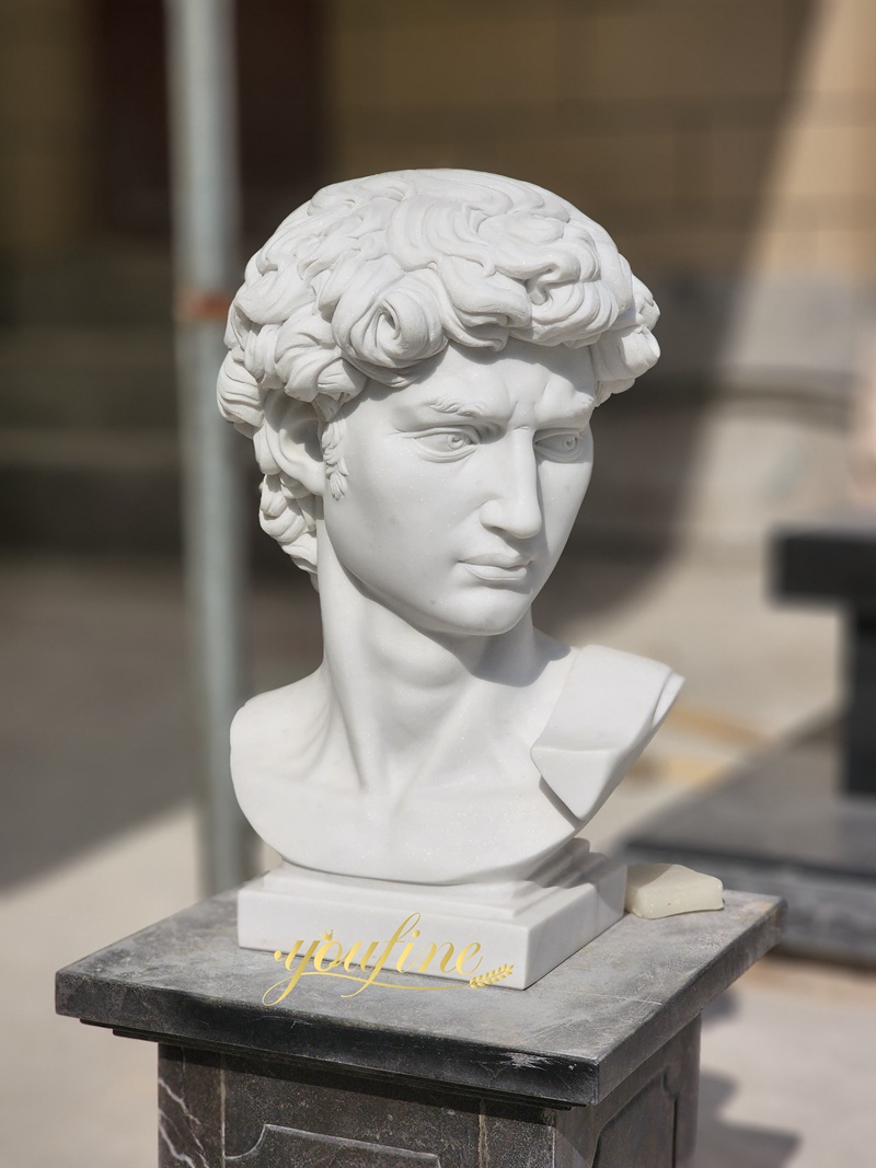 Marble David bust