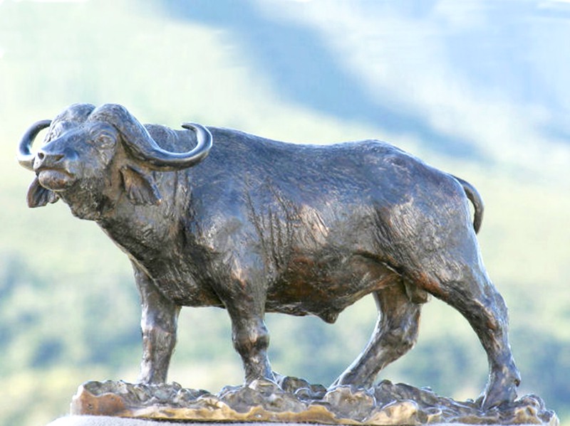 bronze buffalo statue for sale