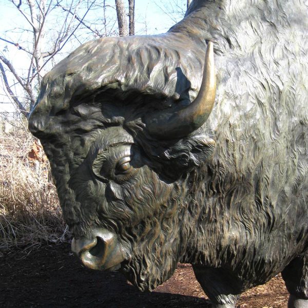Large zoo Bronze Bison Statue
