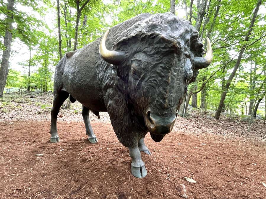 bison animal sculpture