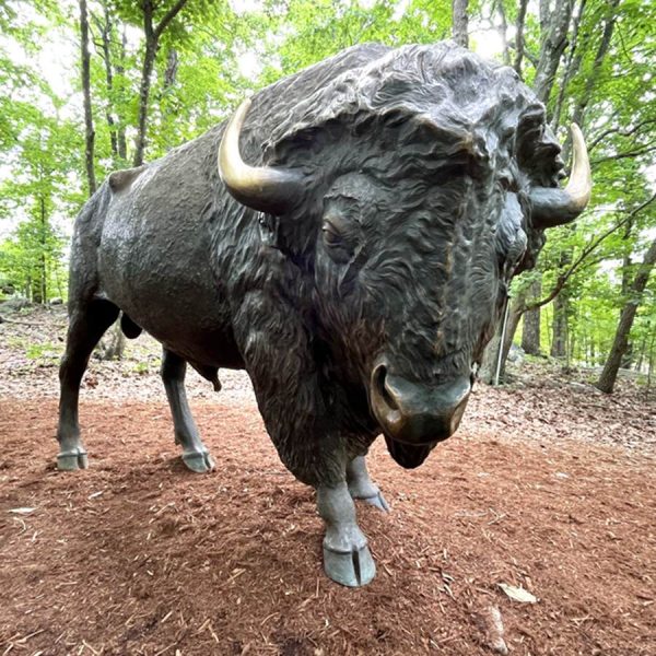 bison bronze statue