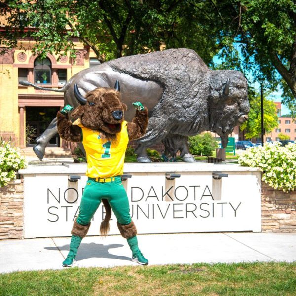 bison sculpture
