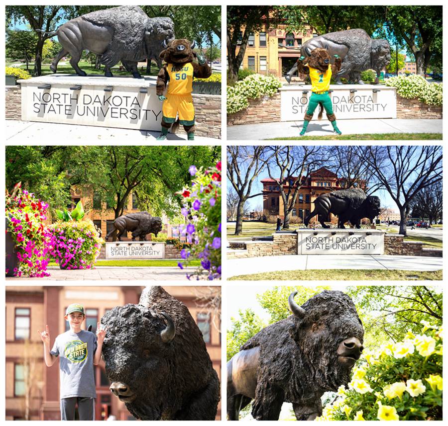 bison statue for sale