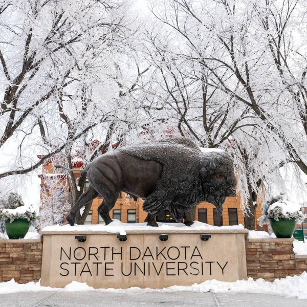 bronze bison statue