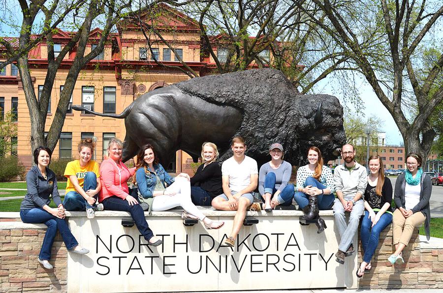 buffalo statue for sale