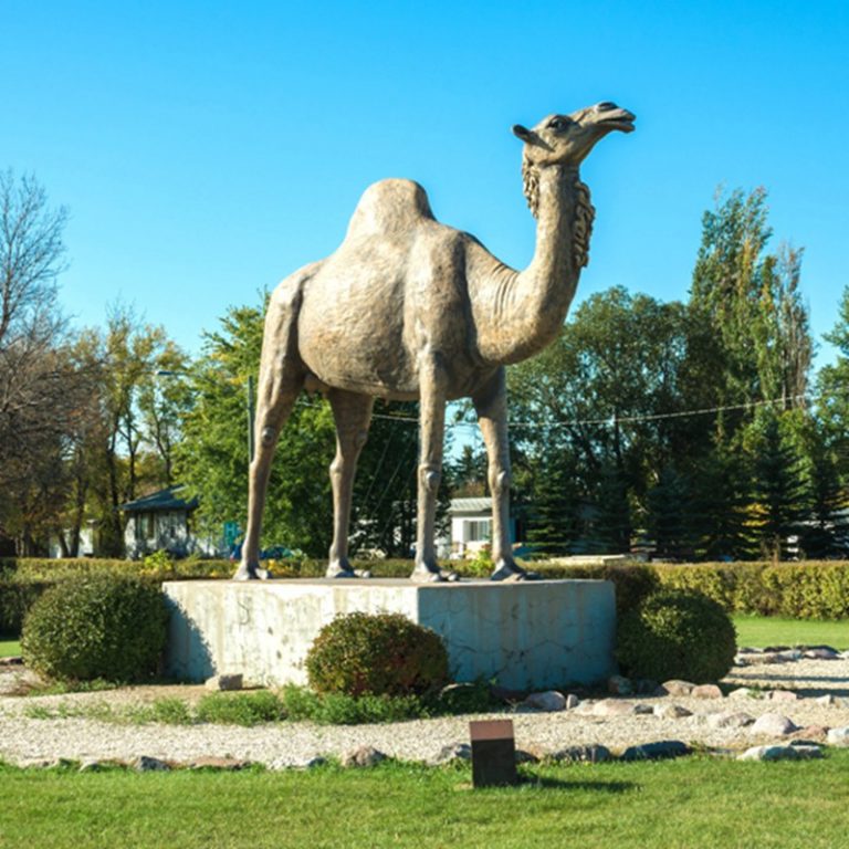 Outdoor Giant Standing Camel Statue BOKK-390