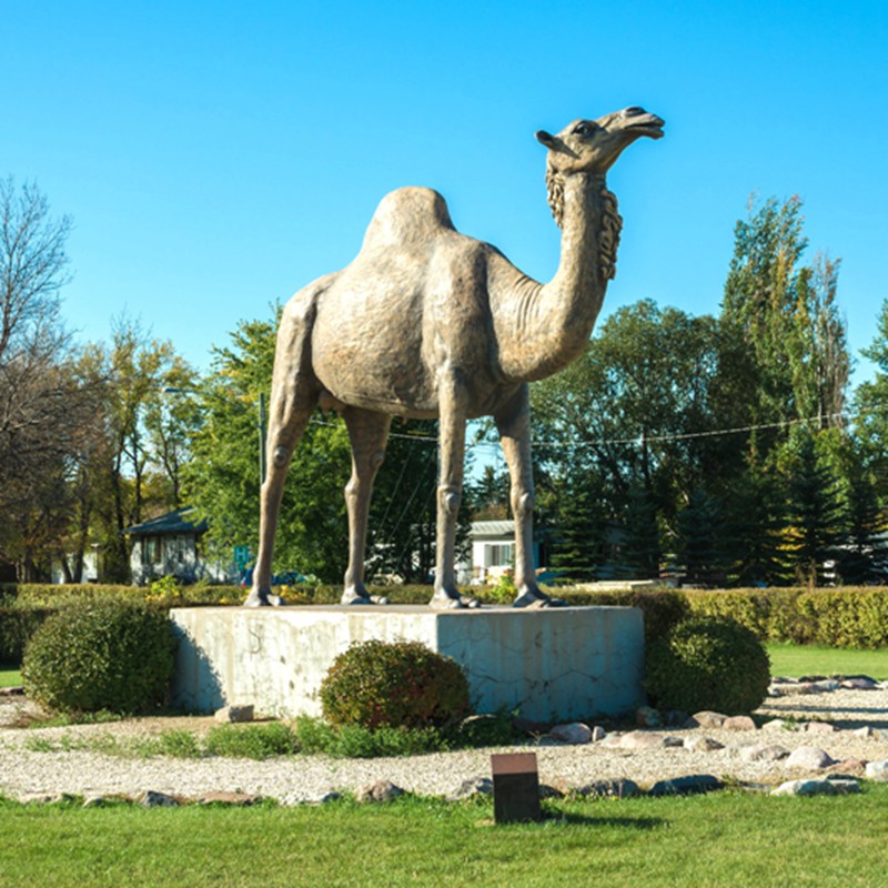 Standing bronze camel