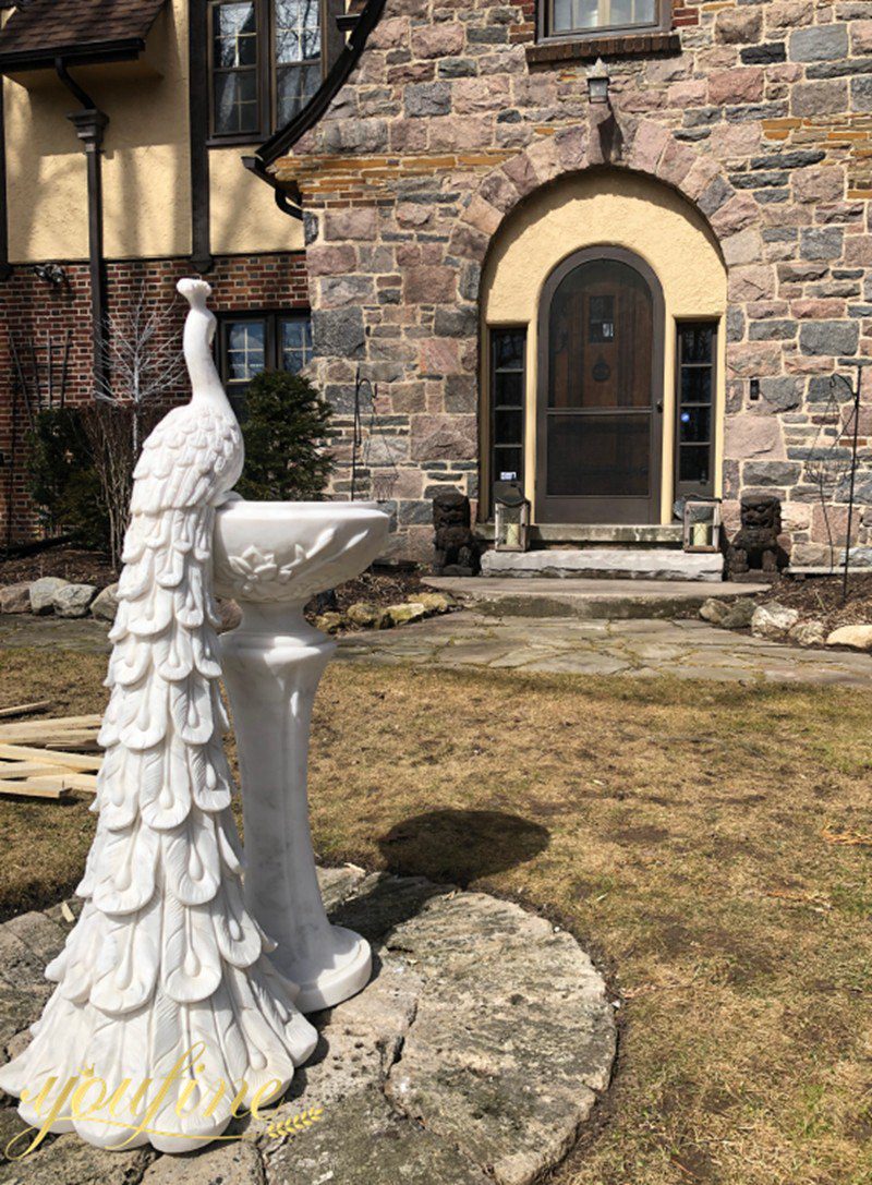 peacock statue feedback