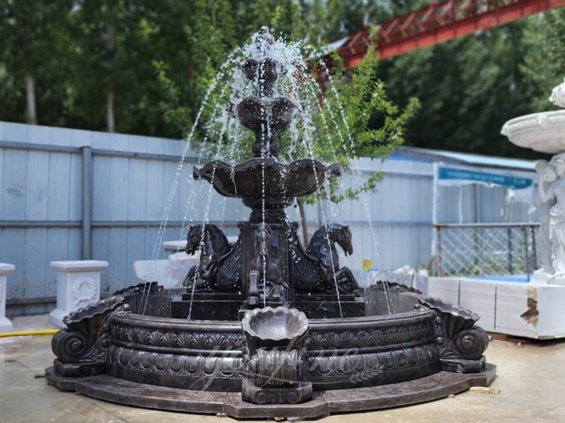 Test the Water of black marble horse fountain