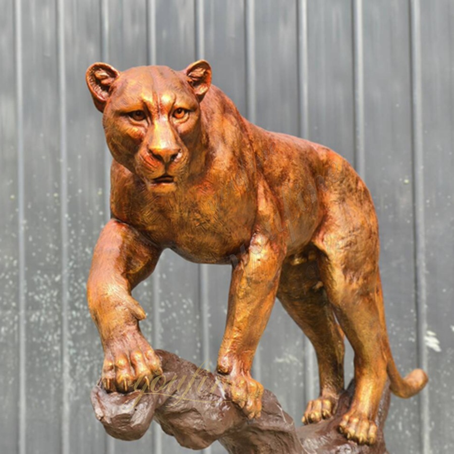 mountain lion climbing up branch