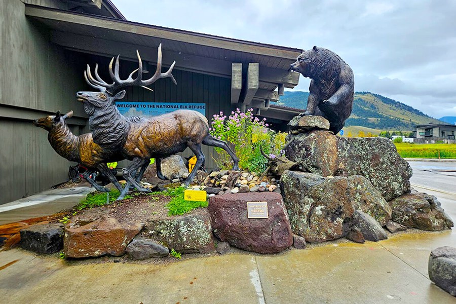 elk and bear Statues