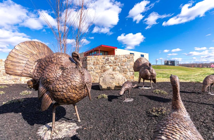 Wild Turkeys Statues