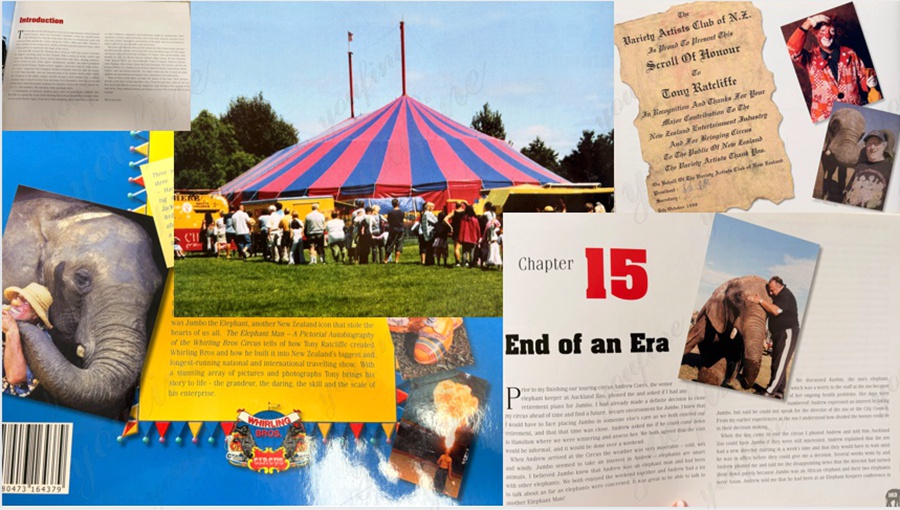 YouFine factory Autobiography of the Whirling Bros Circus