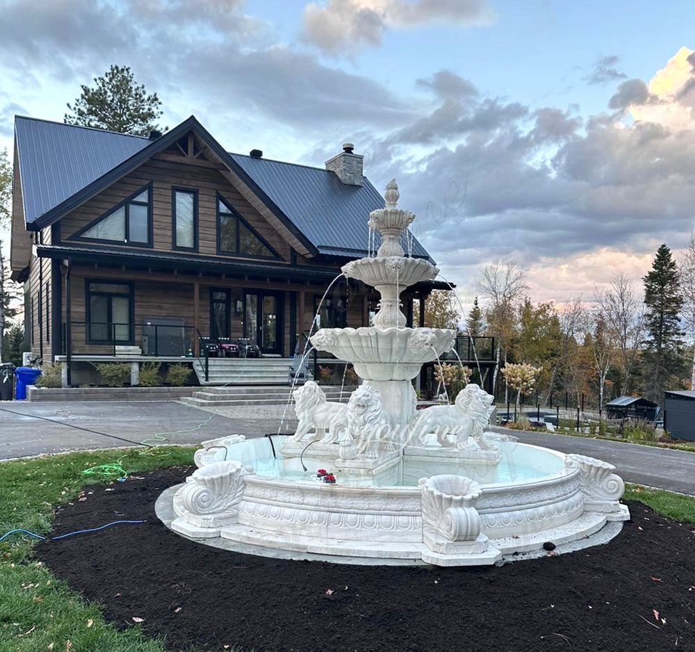 Lion Statue Fountain: Global Customer Projects and Installations