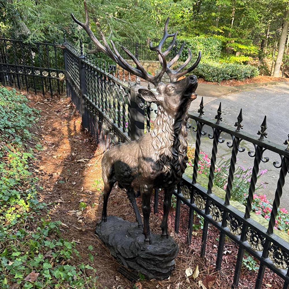 Bronze Deer Behind the House garden