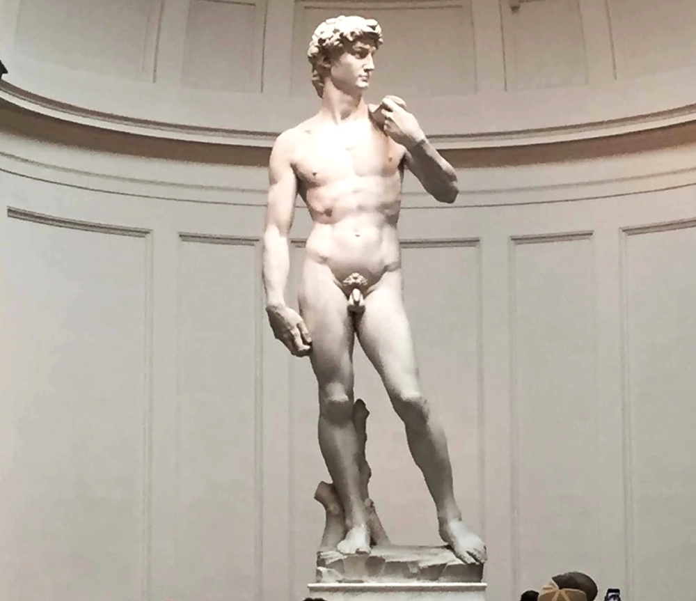 Michelangelo’s David (Marble)
