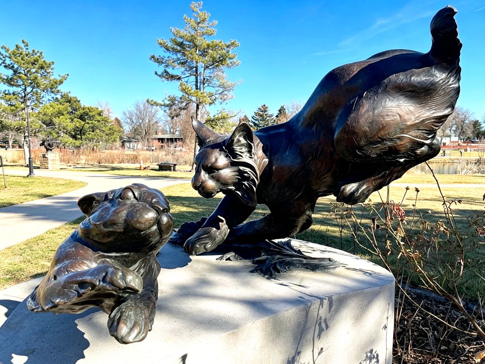 Bronze wildcat  Statue