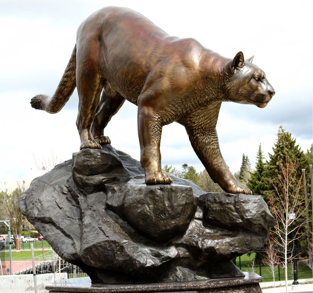 Bronze H Cougar Pride Statue