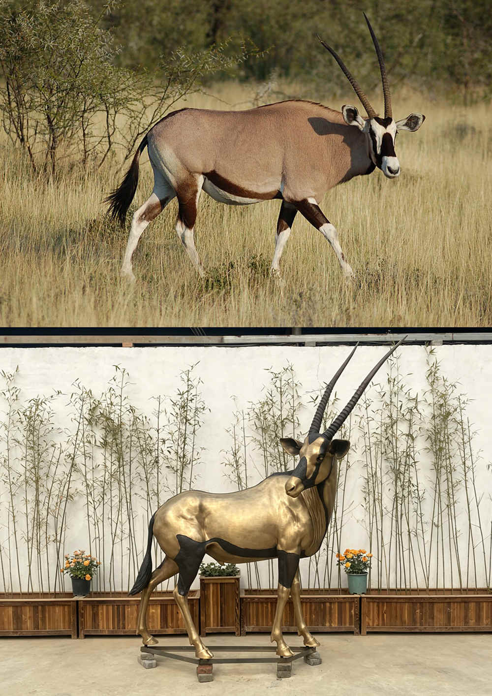 Əsl Oriks Vs Bürünc Oriks Heykəli
